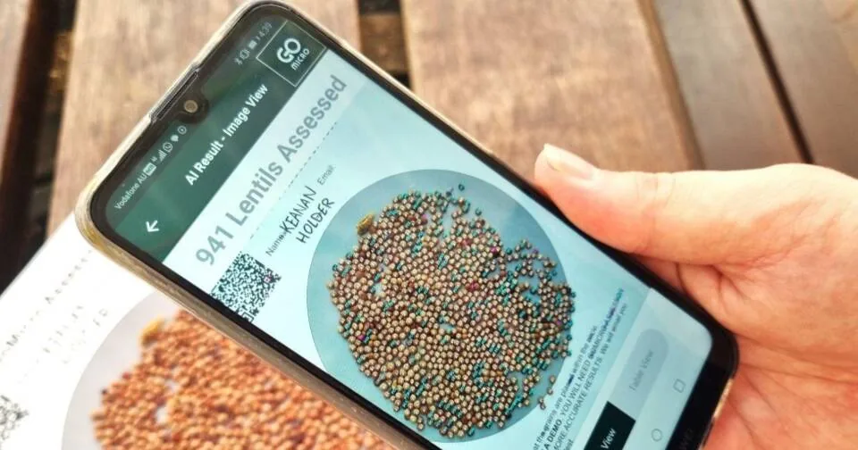 A grain tool so close to a standard for farmers