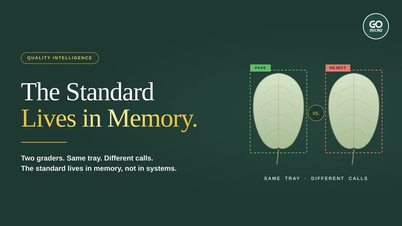 The standard lives in memory. Same tray, different calls.